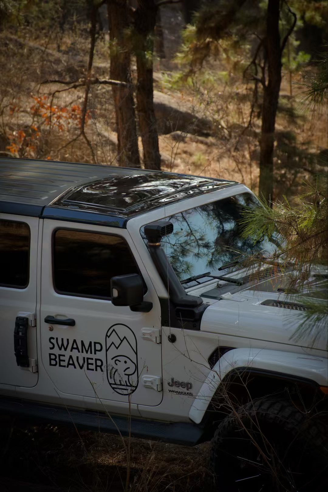 Stargaze Clearview Freedom Panel for Wrangler JL/Gladiator JT