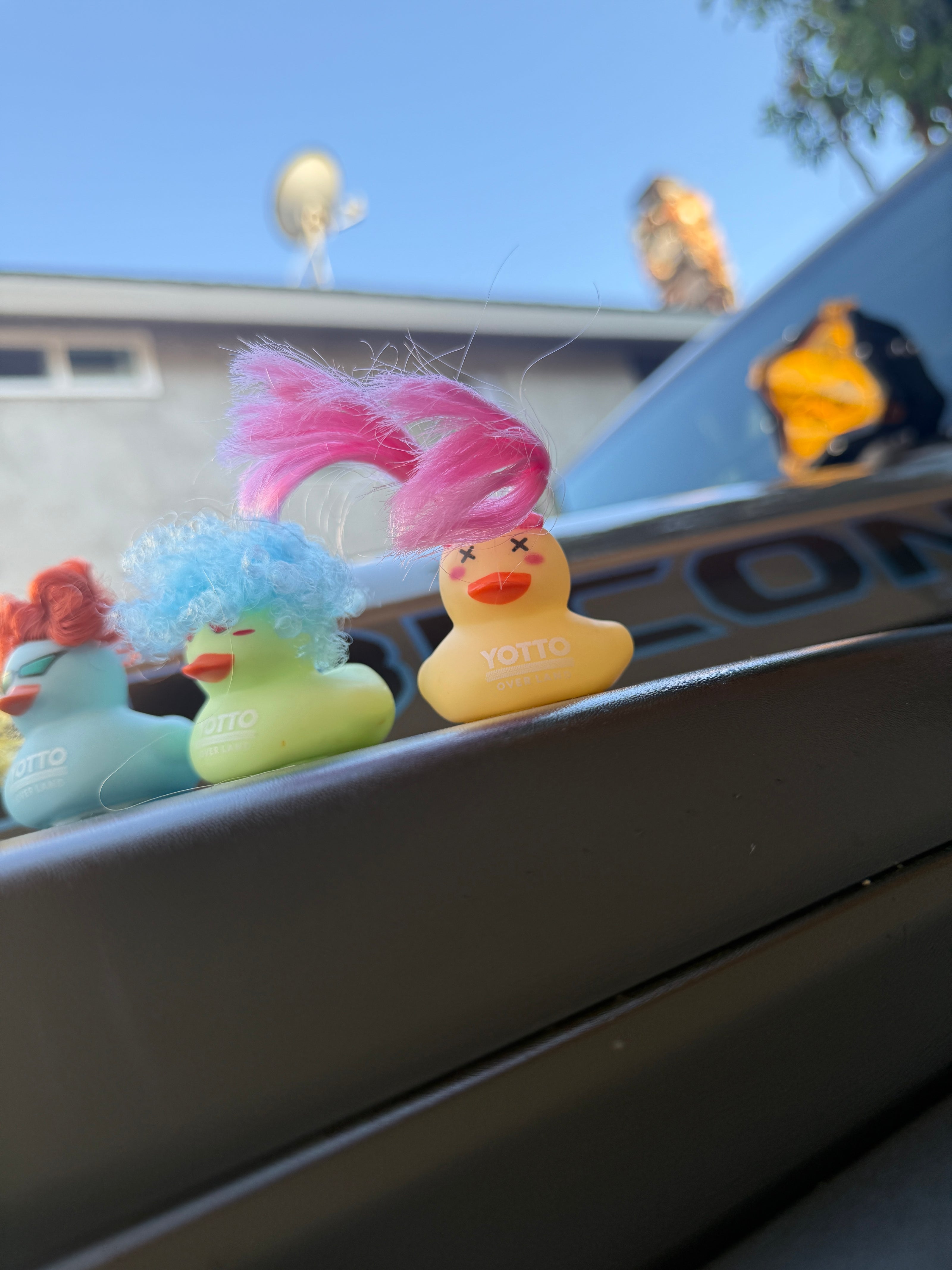 A Dozen Hippie Rubber Ducks for Jeepers