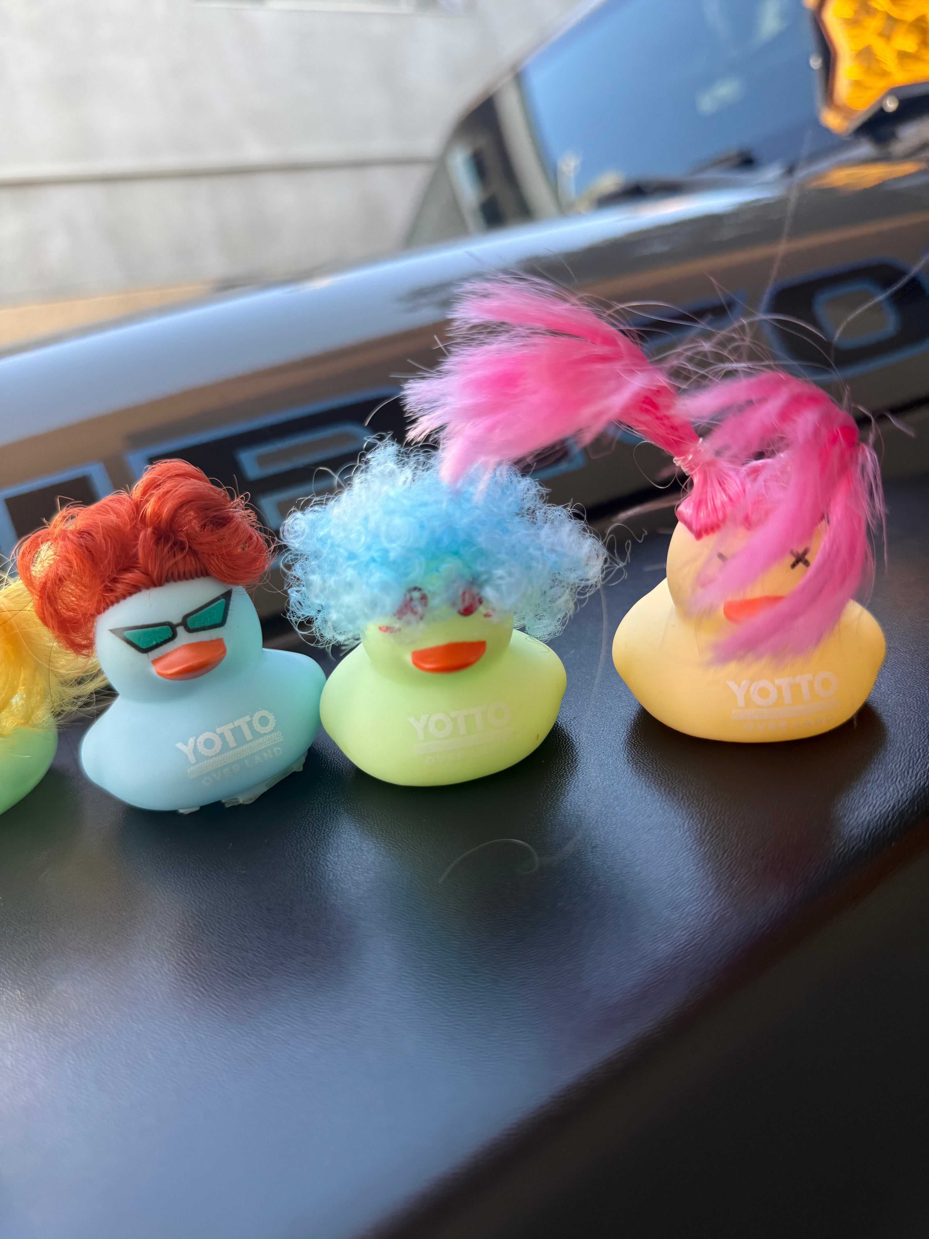 A Dozen Hippie Rubber Ducks for Jeepers