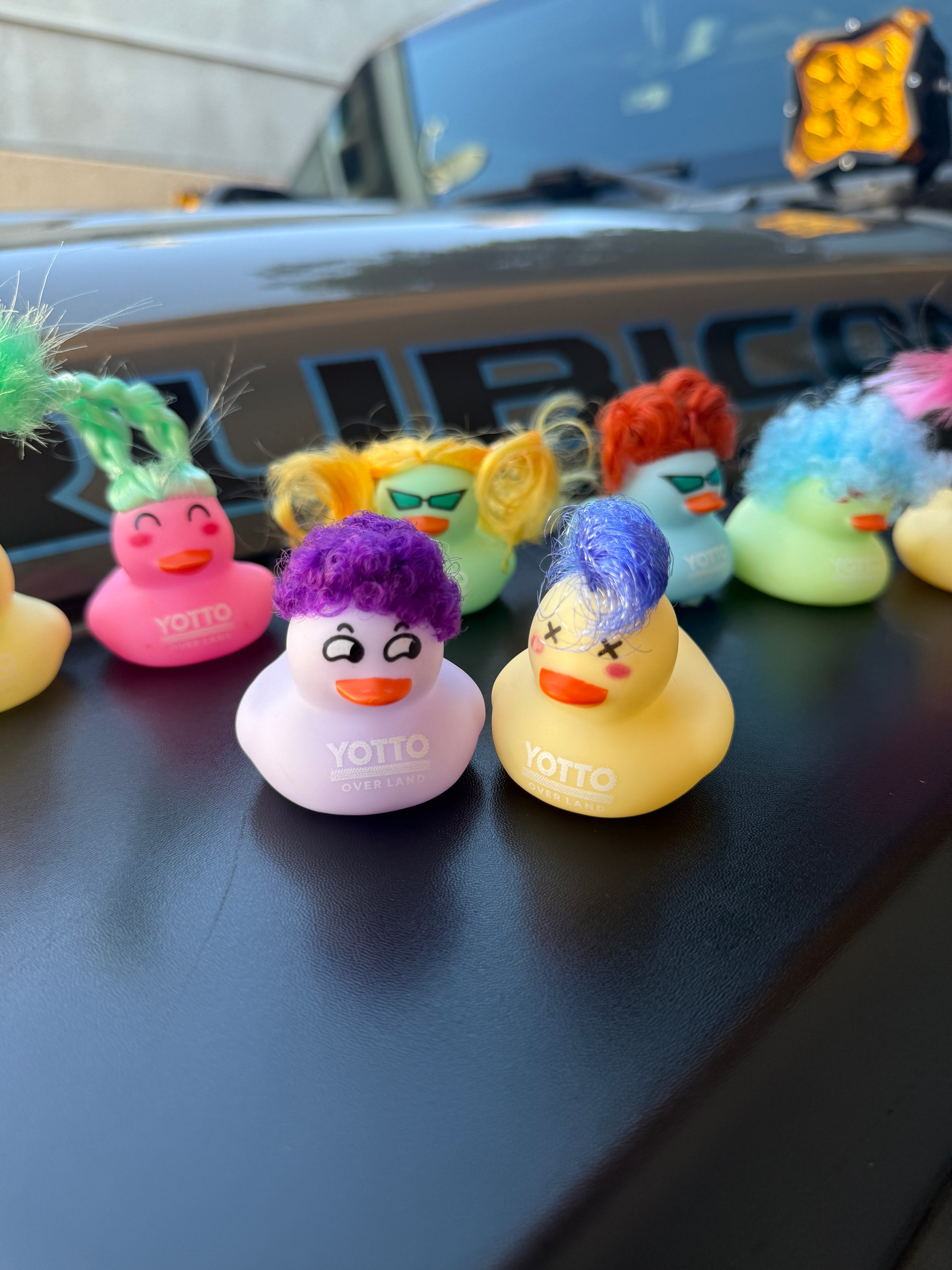 A Dozen Hippie Rubber Ducks for Jeepers