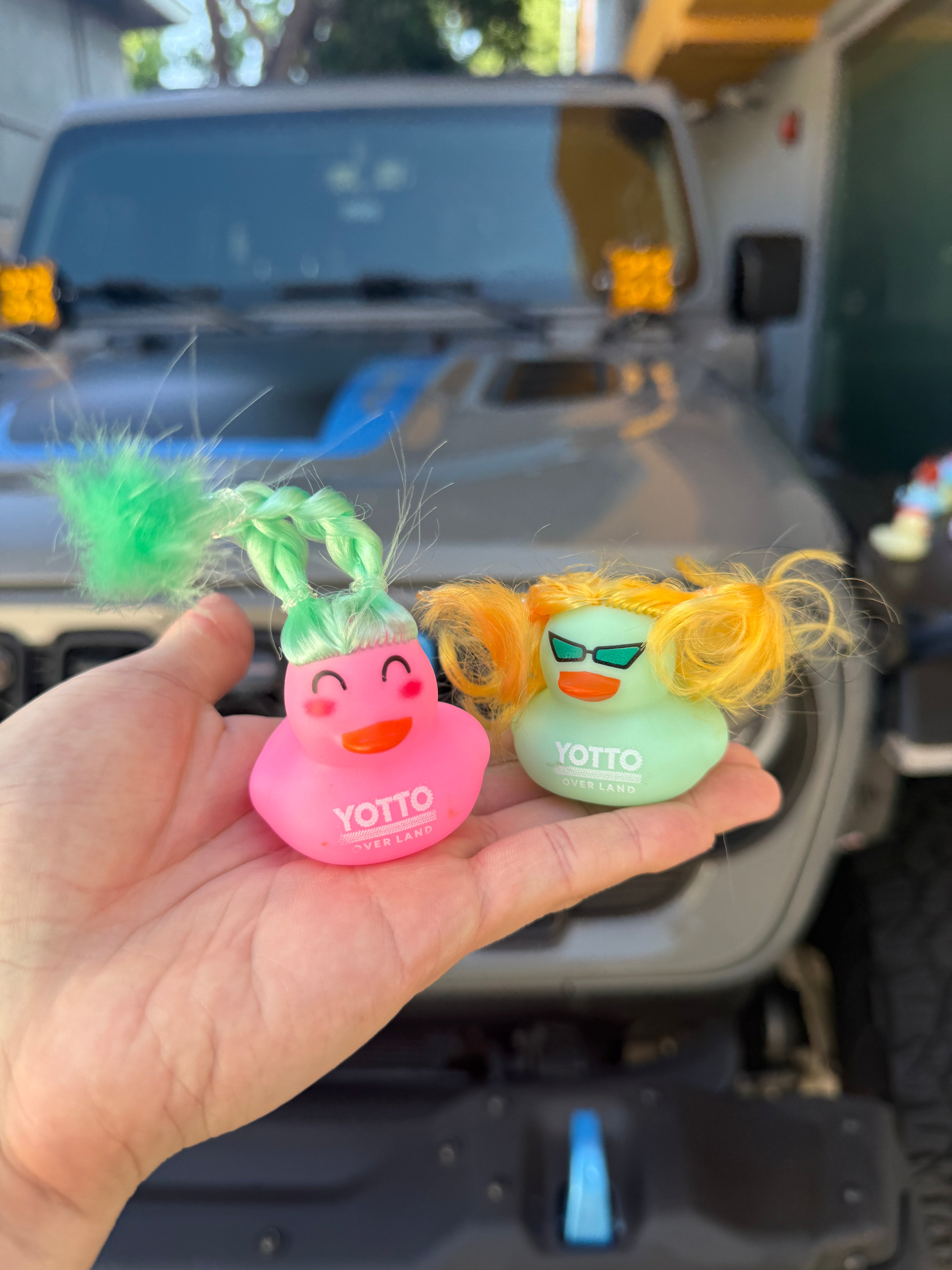 A Dozen Hippie Rubber Ducks for Jeepers