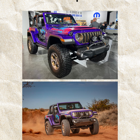 7 Slots Accent & Blackout *Add-on Service