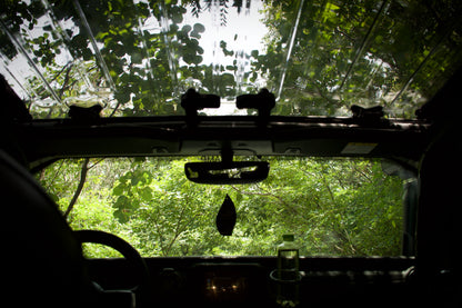 Stargaze Clearview Freedom Panel for Wrangler JL/Gladiator JT