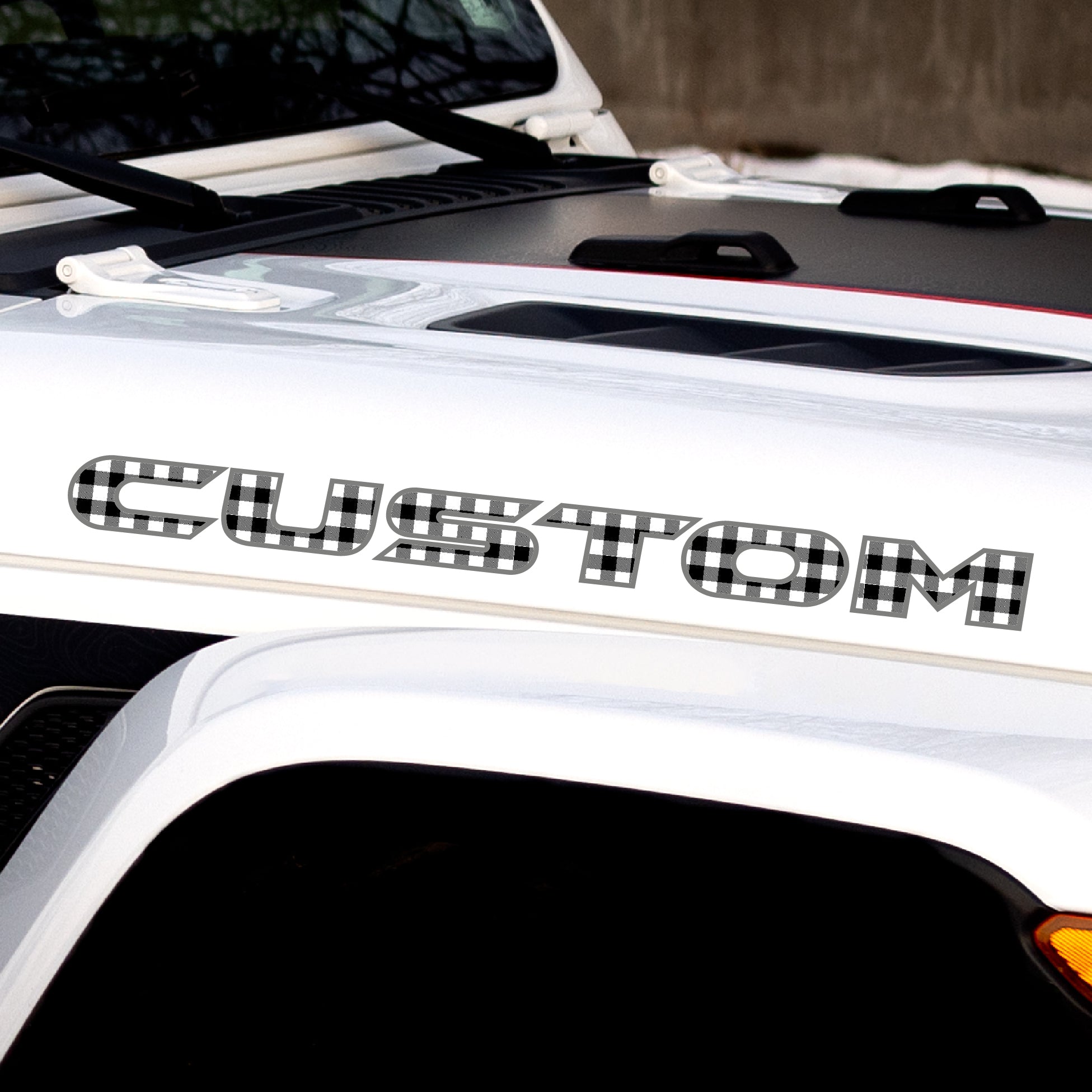 Plaid Hood Lettering | Set of 2