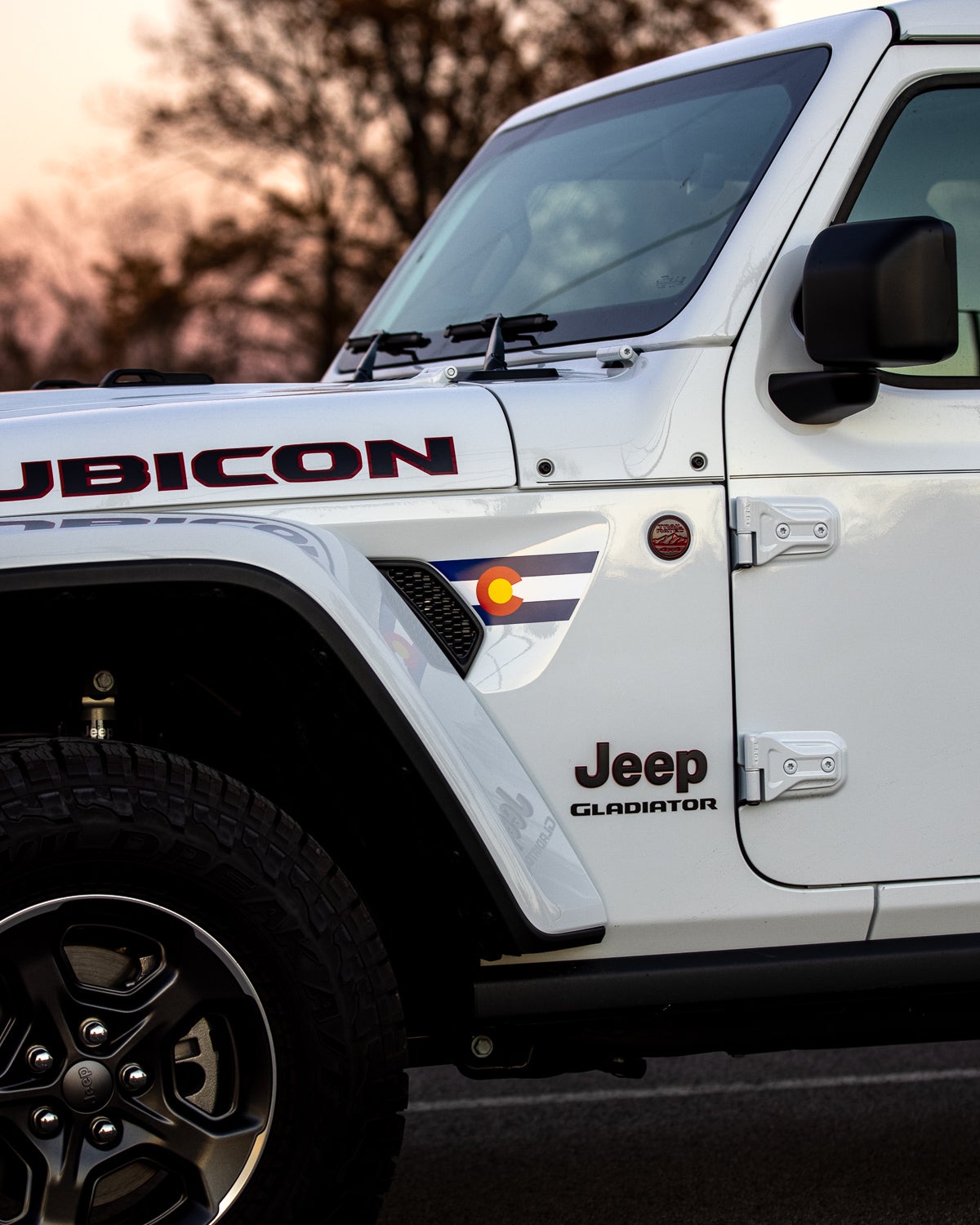 Fender Vent Decal Set | State Flag - fits Wrangler JL & Gladiator JT